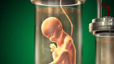 苏州供卵试管婴儿需要多少钱_试管婴儿寿命究竟有多长？世界第一例+我国首例