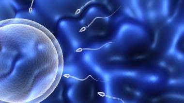 长春代怀合法吗_第三代试管婴儿胚胎成功着床后要注意哪些方面