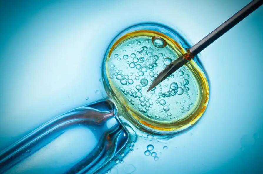 正规代怀_借卵代怀要多少钱_南沙岛多囊卵巢综合征可以做试管婴儿么，多囊卵
